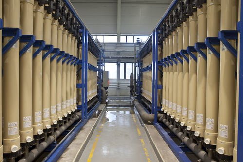 北京亦庄 绿色工厂数量领跑全市，技术开发驱动产业升级